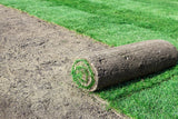Sod & Grass Seeding Service - Request Quote